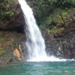 44f40101-a422-4d5f-a5e0-a649668e6e48