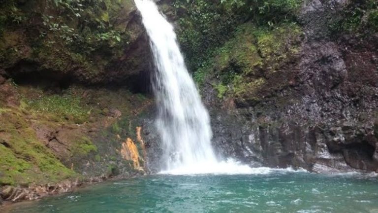 44f40101-a422-4d5f-a5e0-a649668e6e48