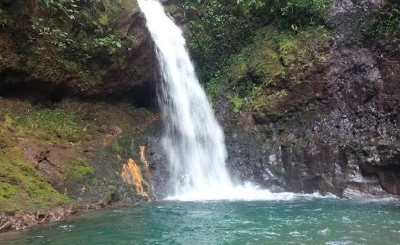 44f40101-a422-4d5f-a5e0-a649668e6e48